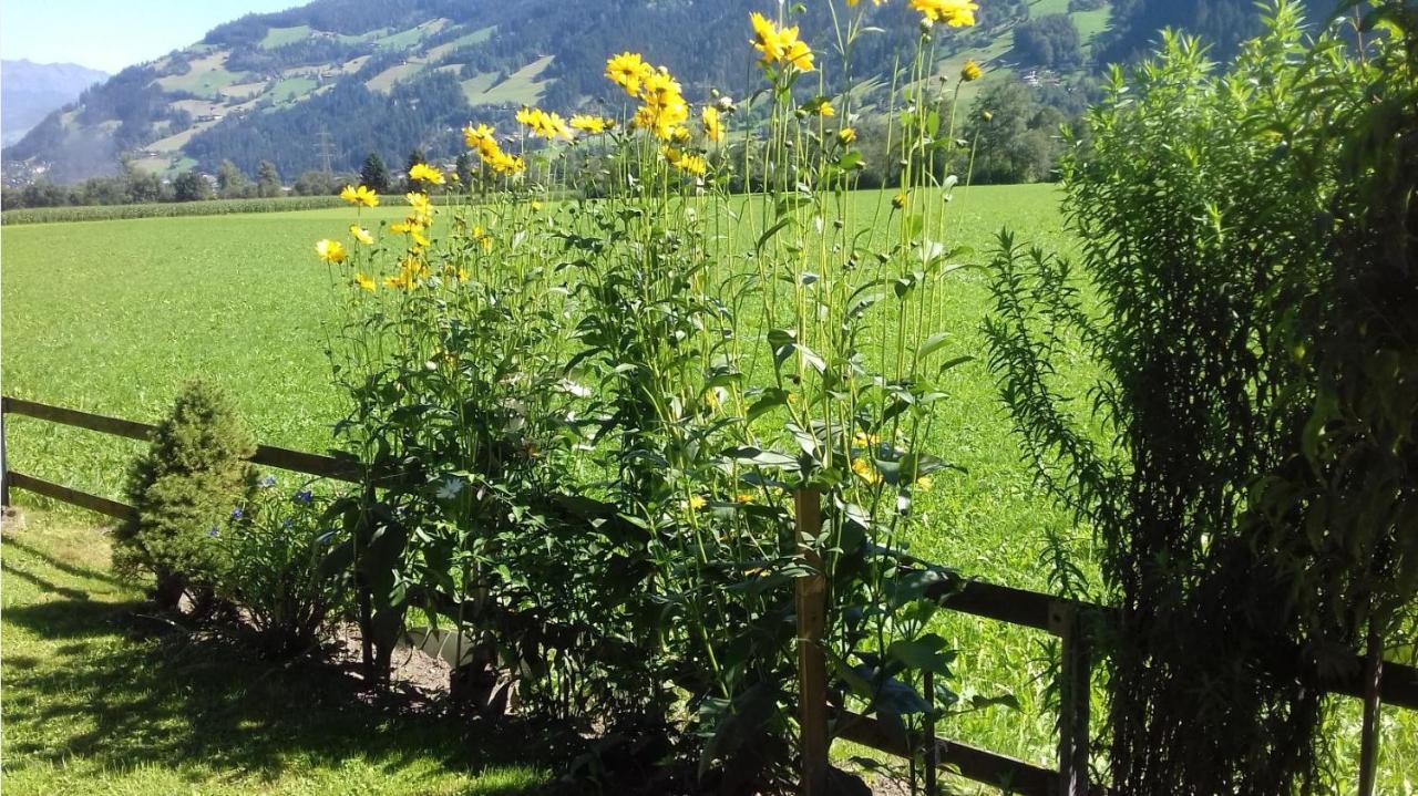 Bed and Breakfast Haus Kreidl Schwendau Esterno foto